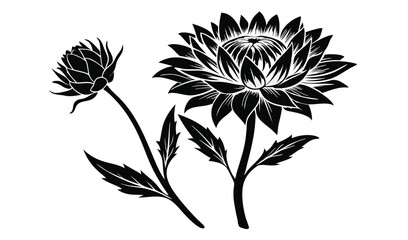 Elegant black and white floral illustration