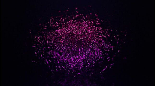 Abstract visual of swirling purple and pink patterns resembling fluid movement in dark background