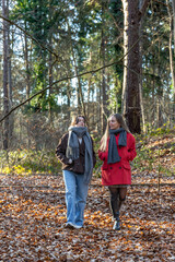Obraz premium Two female friends on a walk in the forest. Friends walking through the forest. People in nature.