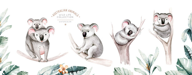 Watercolor cartoon baby koala tropical animal illustration. Jungle exotic summer print. Australian zoo isolated design