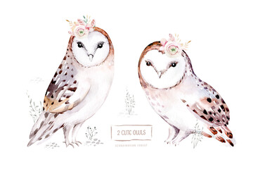 Woodland watercolor cute animals baby owl. Scandinavian owls on forest nursery poster design. Isolated charecter