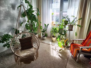Cozy indoor space with hanging chair and lush greenery in bright sunlight