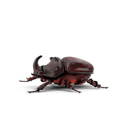 Stag Beetle isolated on transparent background