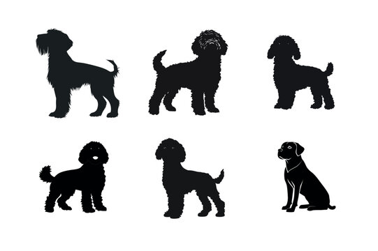 Six dog breed silhouettes poodles schnauzer and labrador