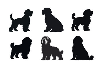 Naklejka premium Six silhouettes of fluffy dog breeds