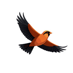 Fototapeta premium Rufous Hornero illustration