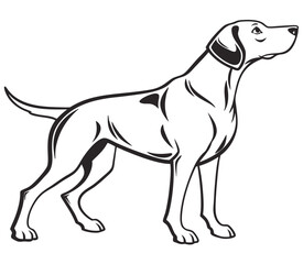 beagle dog vector illustration