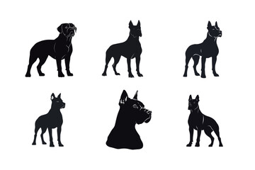 Obraz premium Six black silhouettes of great dane dogs