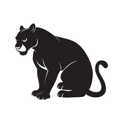 Puma Crouching Ready For Powerful Pounce