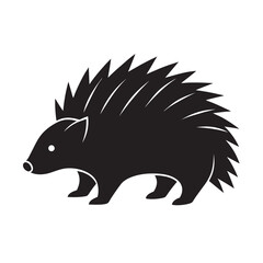 Porcupine In Full Defensive Quill Stance