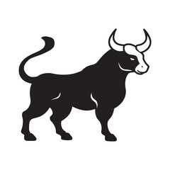 Bull Charging With Muscles Fully Tensed