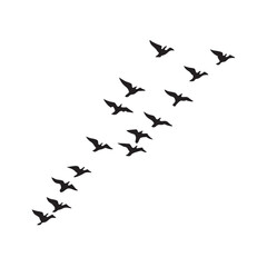 Flock Of Birds Flying In Formation