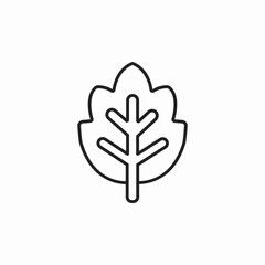 tree leaf icon sign vector