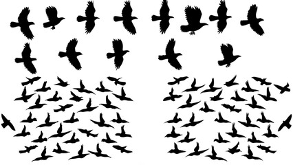 Naklejka premium Black vector silhouettes of people, sports, and flying birds, a versatile collection for design