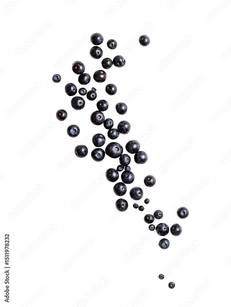 Poster floating blueberries on a transparent background. dark blue berries in various sizes and positions c