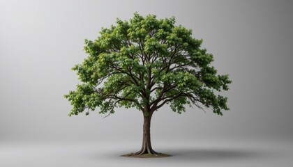 Obraz premium Lush Green Tree with Abundant Foliage and Strong Trunk Against a Neutral Background