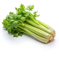 celery isolated on white background