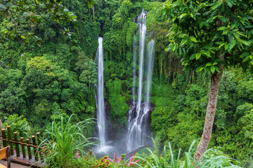 Three separate wateralls falling down steep cliff to pool below. Sekumpul waterfall, northern Bali, Indonesia. Lush green cliff in the background.

