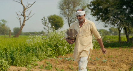 Indian old age senior man walking hold bucket do fertilizing work outdoor farmland asian gen x farmer male wear traditional dress using spreading organic fertilizer powder outside