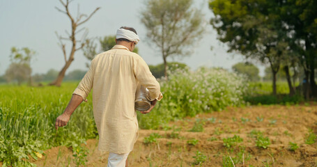 Indian old age senior man walking hold bucket do fertilizing work outdoor farmland asian gen x farmer male wear traditional dress using spreading organic fertilizer powder outside