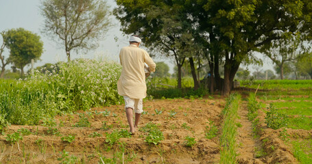 Indian old age senior man walking hold bucket do fertilizing work outdoor farmland asian gen x...