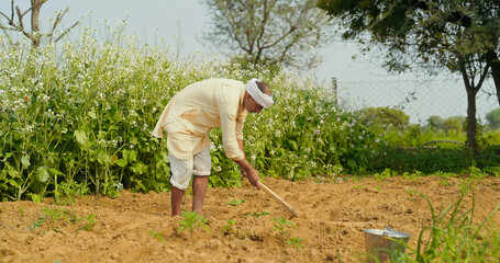 Indian old aged farmer man do work hold hoe tool prepare for planting at outdoor Asian worker male...