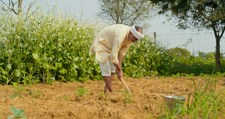 Indian old aged farmer man do work hold hoe tool prepare for planting at outdoor Asian worker male...