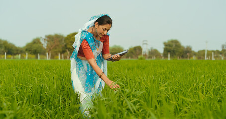 Indian gen x adult farmer woman lady wear saree standing outdoor farmland holding tab device...