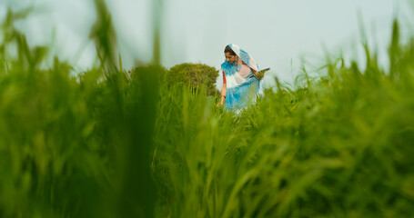 Indian gen x adult farmer woman lady wear saree standing outdoor farmland holding tab device...
