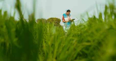 Indian gen x adult farmer woman lady wear saree standing outdoor farmland holding tab device browsing website looking screen Asian smiling female use calculate data yield outside rural area desi life