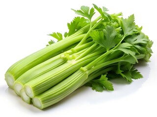 Fresh celery isolated on a white background