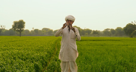 Indian farmer man standing hold wooden flute playing woodwind music outdoor farmland old aged villager male wear white traditional clothes use musical instrument blowing wind in pipe © Raushan_films