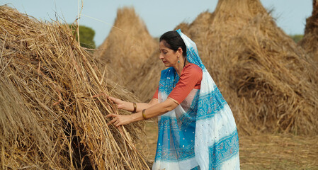 Indian gen x adult villager woman lady wear saree standing collecting dry grass outdoor asian...