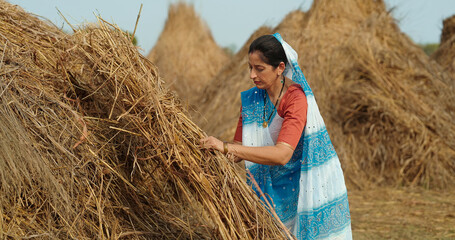 Indian gen x adult villager woman lady wear saree standing collecting dry grass outdoor asian...