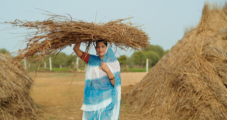 Indian gen x adult villager woman lady wear saree standing looking at camera carrying dry grass on...