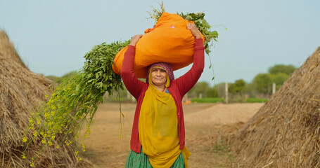 Indian gen x adult villager woman lady wear saree looking at camera carrying fresh green grass on...