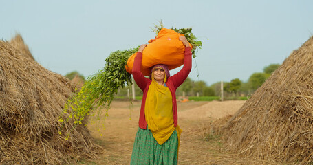 Indian gen x adult villager woman lady wear saree looking at camera carrying fresh green grass on...