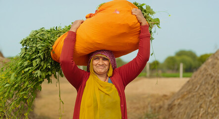Indian gen x adult villager woman lady wear saree looking at camera carrying fresh green grass on...