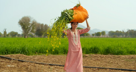 Indian gen z young adult villager woman lady wear casual dress walking carrying fresh green grass...