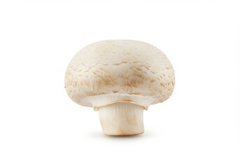 Single white button mushroom isolated on white background