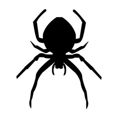 Spider icon