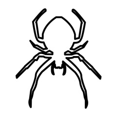Spider icon