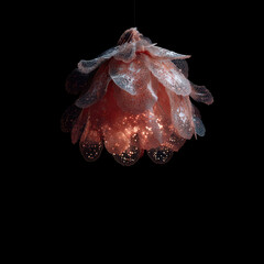 Unique lighting fixture resembling a flower bloom