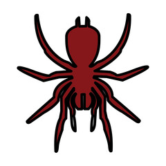 Obraz premium Spider icon