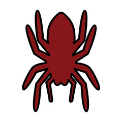 Spider icon