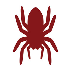 Spider icon