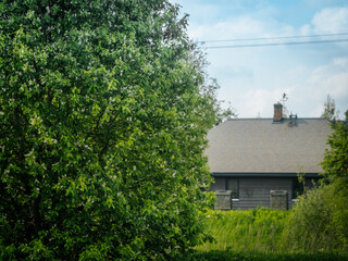 A gray-roofed modern house partially hidden by dense trees and bushes in a bright green landscape...
