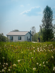 A bright green meadow with dandelion seed heads and yellow flowers stretches towards two modern houses, one of which is still under construction, against a clear, blue sky.