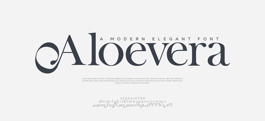 Beauty Luxury font alphabet logo. Typography beautiful fashion elegant classic letters serif italic fonts decorative wedding vintage retro logos. vector illustration