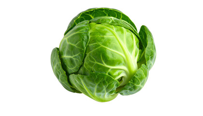Obraz premium Vibrant green Brussels sprout isolated on a transparent background, perfect for food and health related projects